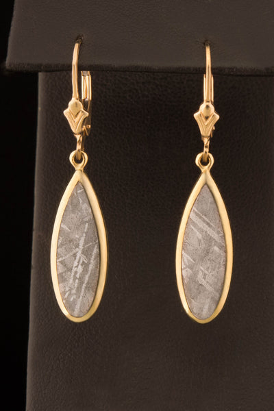 Gibeon Meteorite Drop Earrings