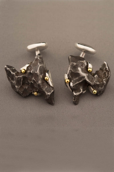 Dinosaur Bone and Sikhote-Alin Meteorite Cufflinks