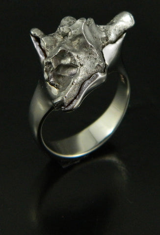 Sikhote-Alin Meteorite in 14kt White Gold Ring