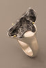 Large Sikhote-Alin Meteorite Ring in Sterling Silver and 18kt Gold